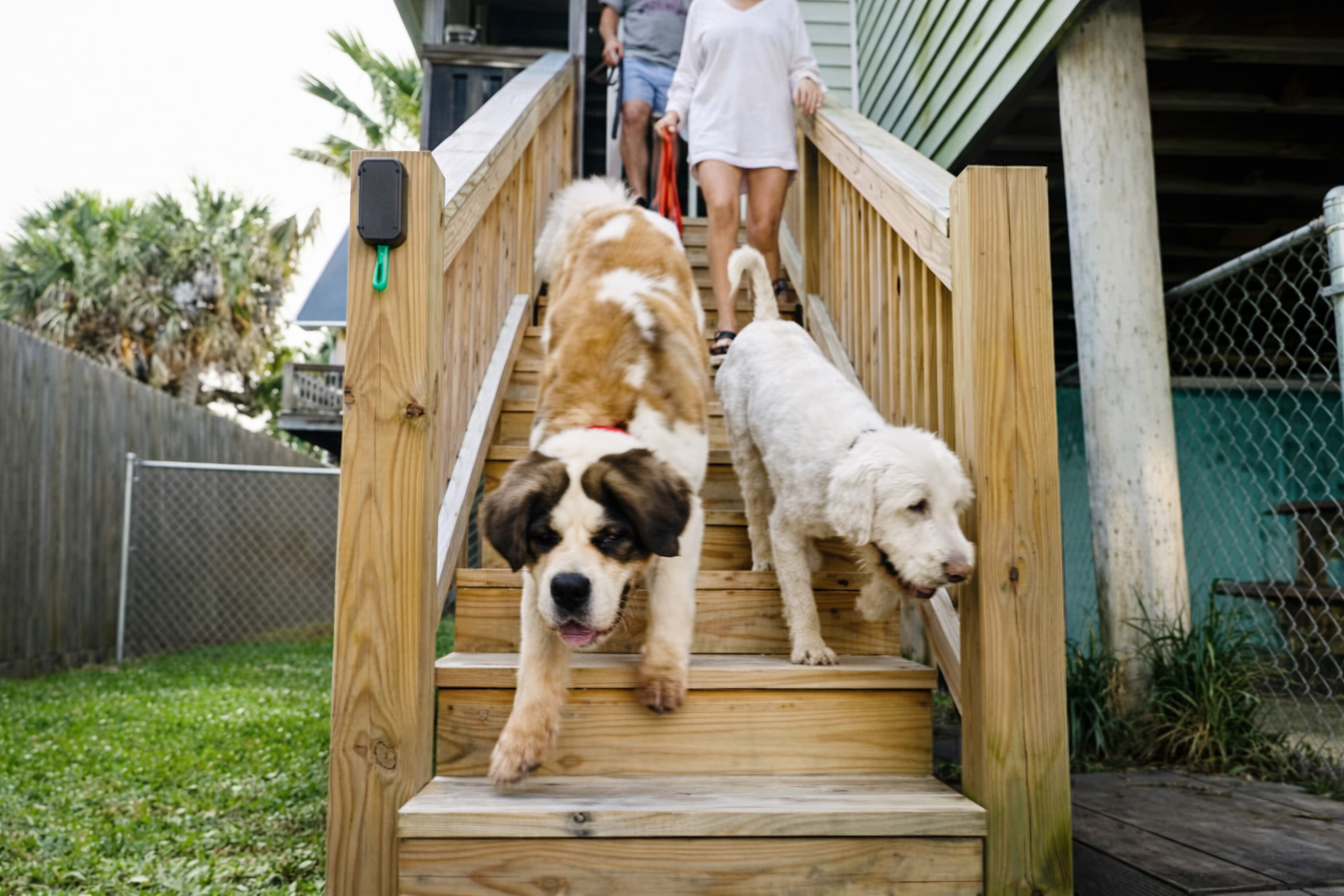 pet friendly rentals folly beach